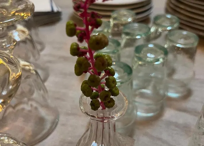 别墅 Mas De La Costete Mons (Herault)